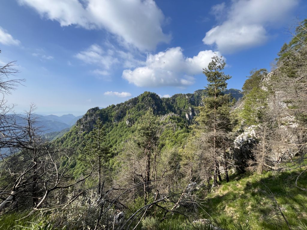 Bocca di Valle...Bondone (TN)